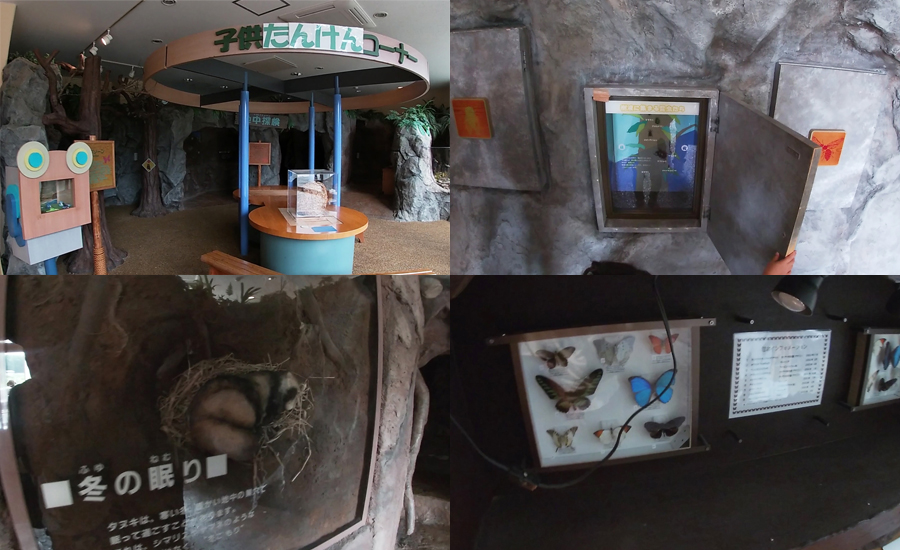 案内所の横にはちょっとした「子供たんけんコーナー」もあります