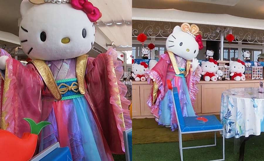 キティちゃんが1日に数回レストランに遊びに来てくれます