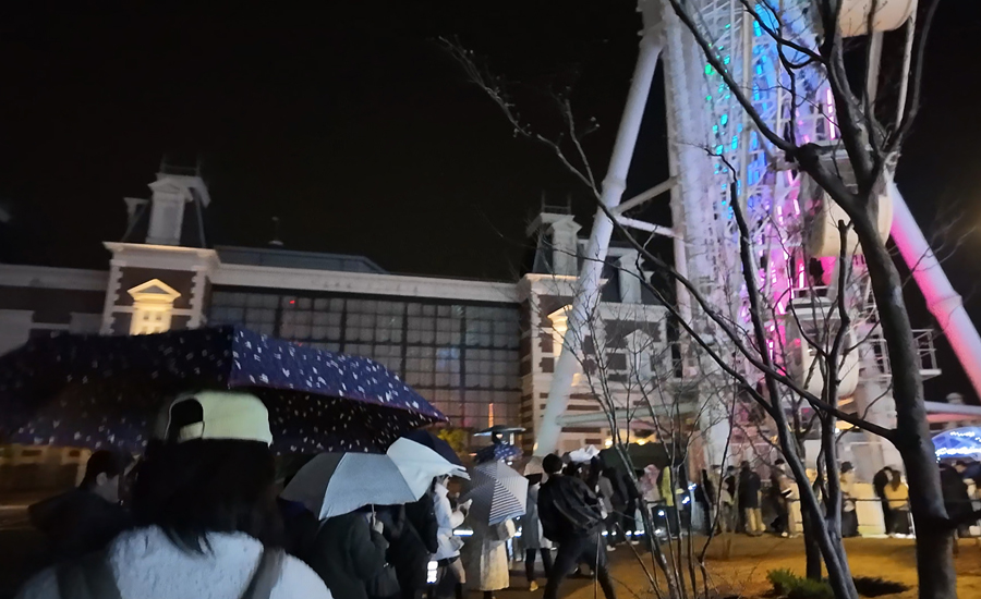 観覧車からはパーク内のイルミネーションが一望できます