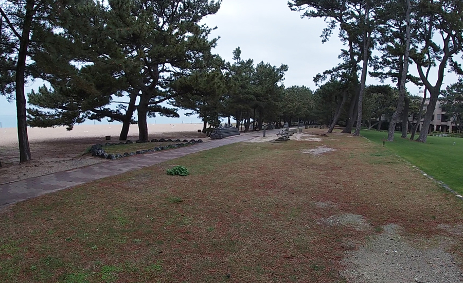 裏庭からは、海が一望でき、散歩するのも気持ちいい松が植えられた歩道があります。