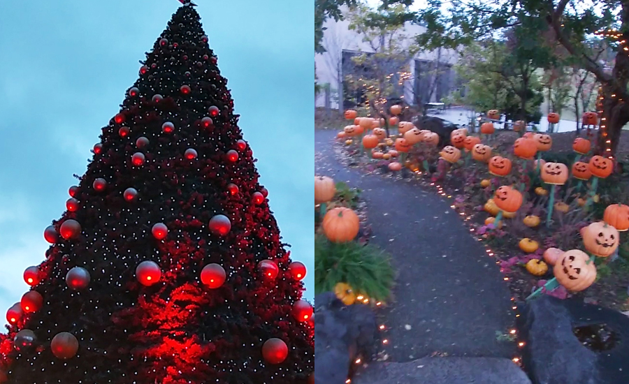 ホテル周辺もクリスマスツリーやハロウィンなどの装飾もされていてキレイ