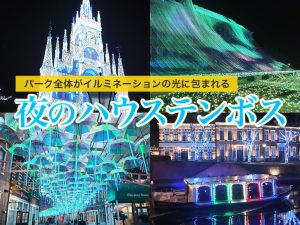 パーク全体がイルミネーションの光に包まれる、まさに異世界の夜の長崎ハウステンボス