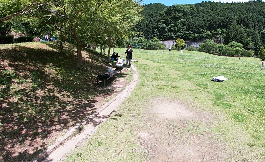丘になっている所にたくさん木があり、木陰になっているのでお弁当などを持ち込んで食べるのもピッタリです。