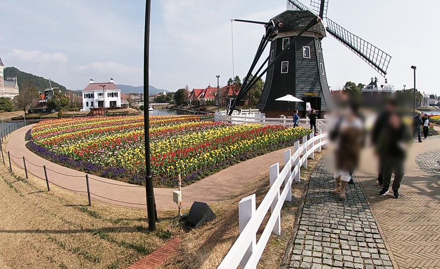 大きな風車やハウステンボスの街並みとチューリップがベストマッチ2
