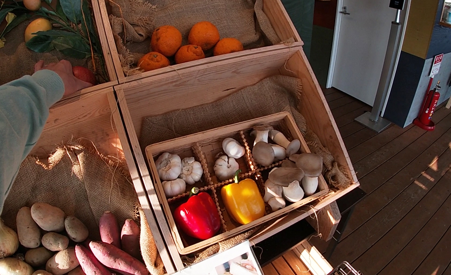 管理棟のエントランスにお米や、野菜、果物が並べられていてこの場所にあるものは無料で自由に取ってOKでした。