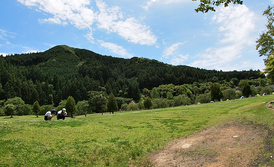 見渡す限り山の緑が見えてロケーションは最高です