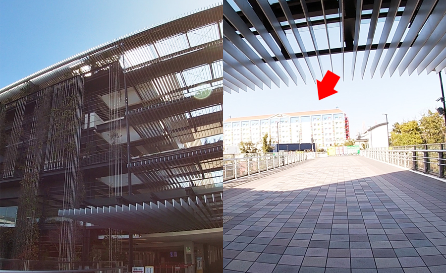 すぐ近くに最大5000台も停めれる「金城ふ頭駐車場」があります