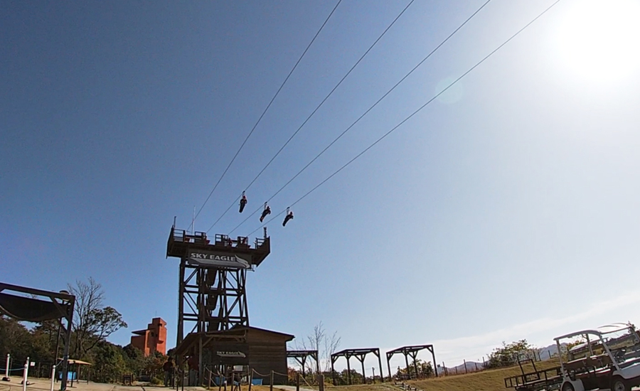 パパとママは、まずスカイ・イーグルに