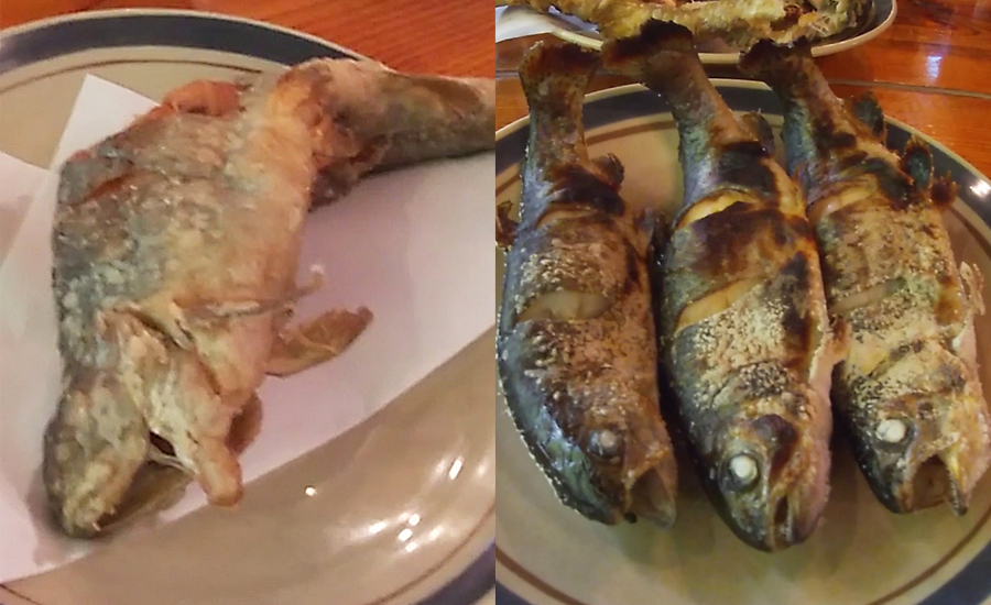 調理は唐揚げか塩焼きのどちらかを選ぶことが出来ます