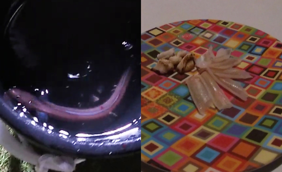 スタッフさんが釣った魚を調理までしてくれました