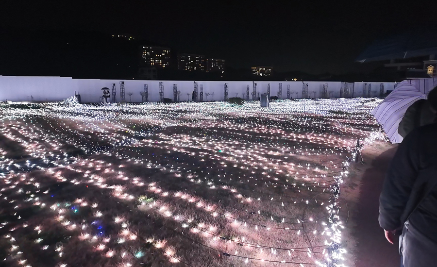 アートガーデンの芝に施されたイルミネーションも何通りも輝き方を変化させてくれるので、ずっと見ていても飽きません