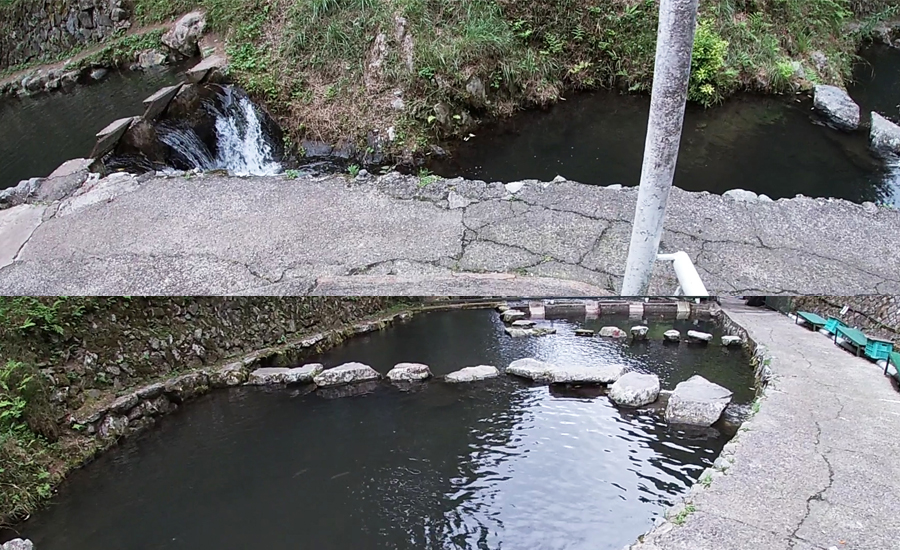 「釣り取り」のエリアは広く、どこで釣ってもOKです