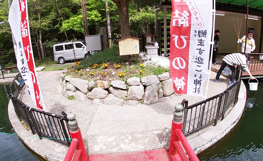 ます池の中央には鯉とマスに掛けた「鱒ます恋こい神社」という恋愛の神様の神社もあります