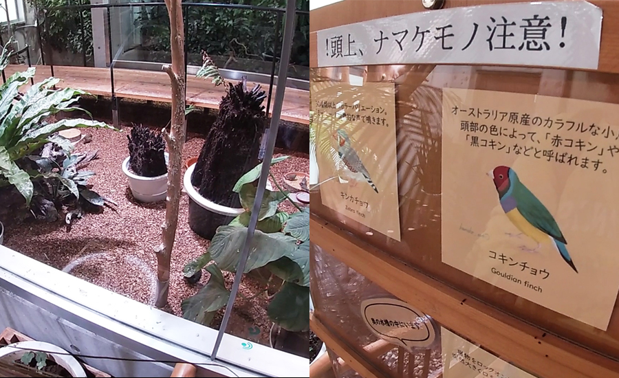 ナマケモノやカメ、鳥などと動物触れ合いもできます2