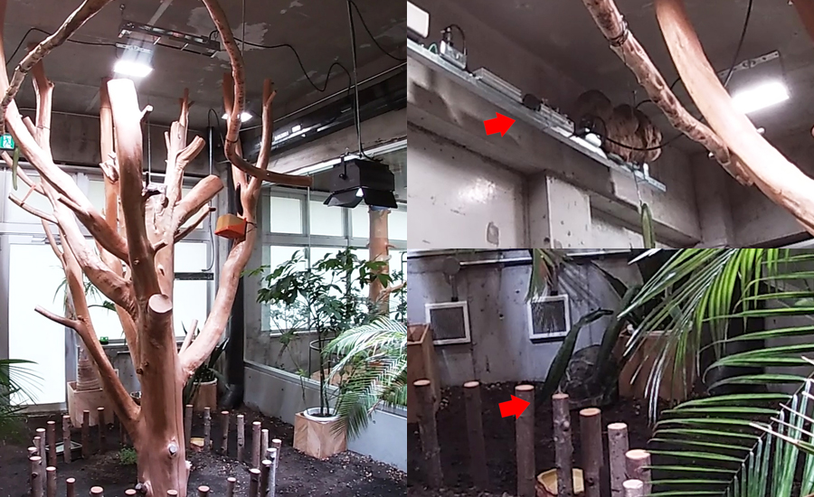 ナマケモノやカメ、鳥などと動物触れ合いもできます1