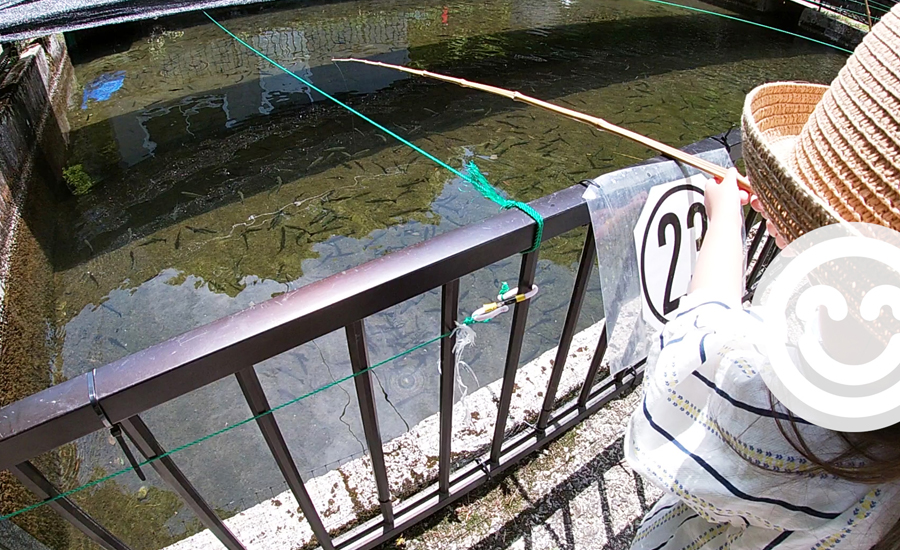 釣るのは全て子マスで一瞬で釣れますｗ