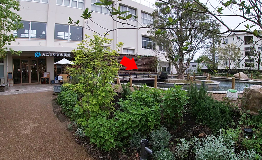 水族館の入り口前には子マス釣り場があります