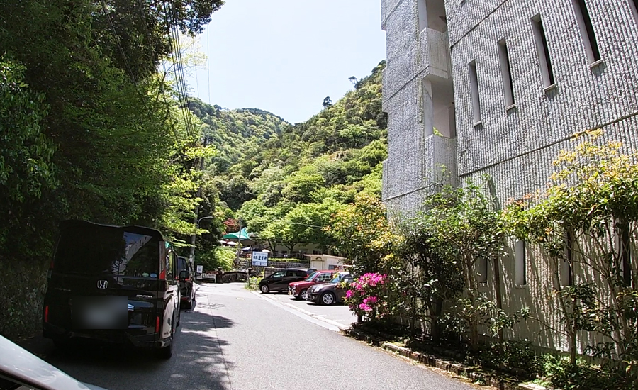 家族連れが多く、駐車場待ちの車の列が出来ていました。