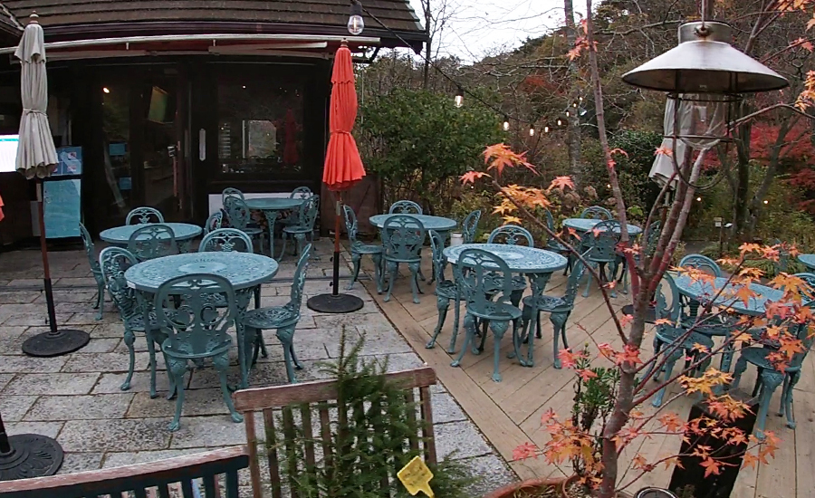 晴れていればテラス席は緑に囲まれた空間で、かなり自然を近くに感じられます。