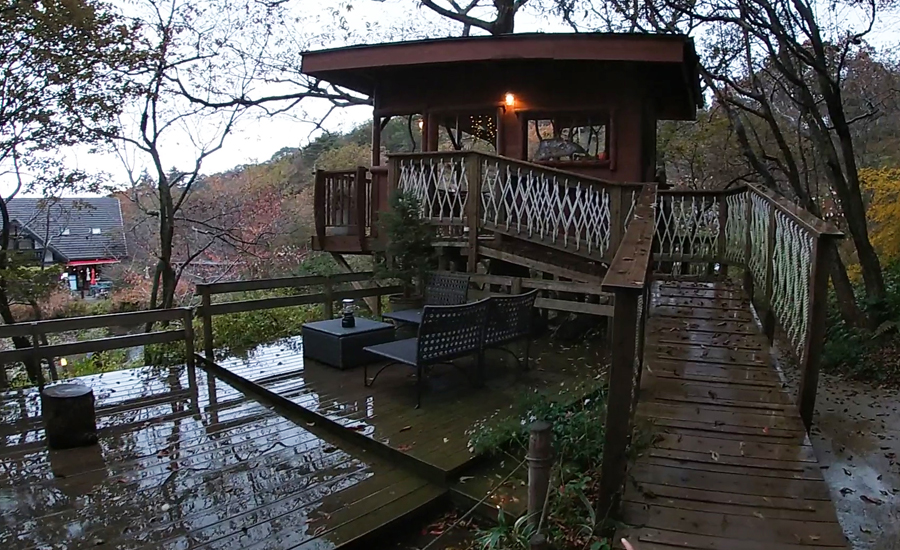 裏庭にはオシャレなツリーハウスがあります