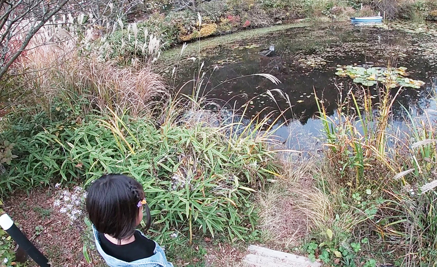 テラス席からは大きな池のある広い裏庭にも行くことができます