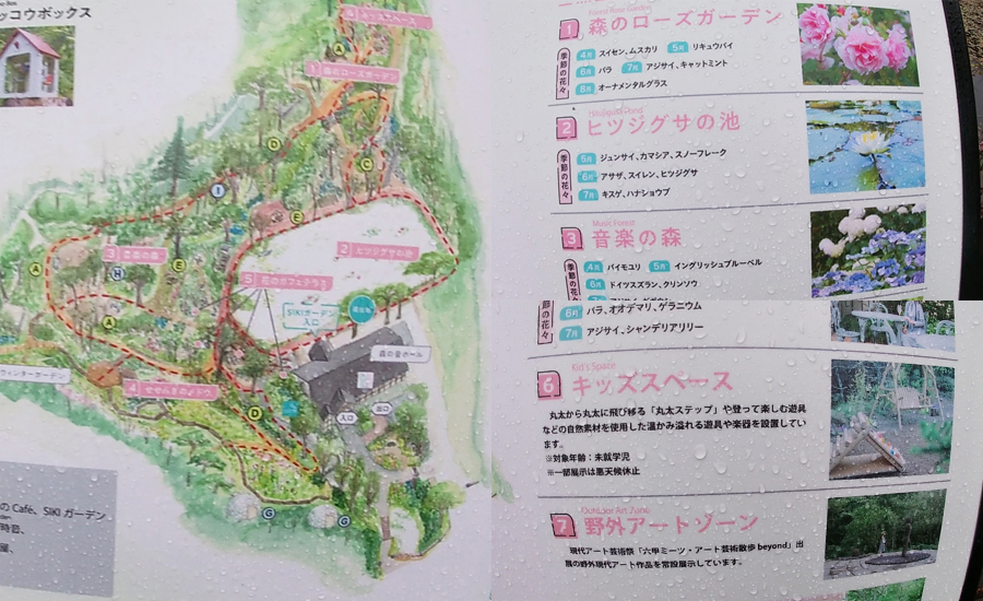 裏庭にはその他にもキッズパークなどもあるみたいです