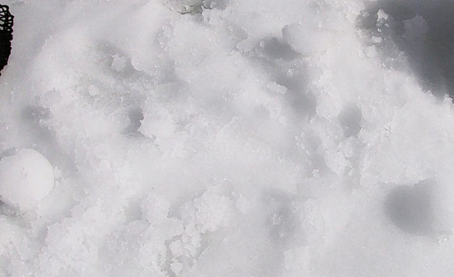 入れ替えられているのか、朝一はかなりキレイな雪