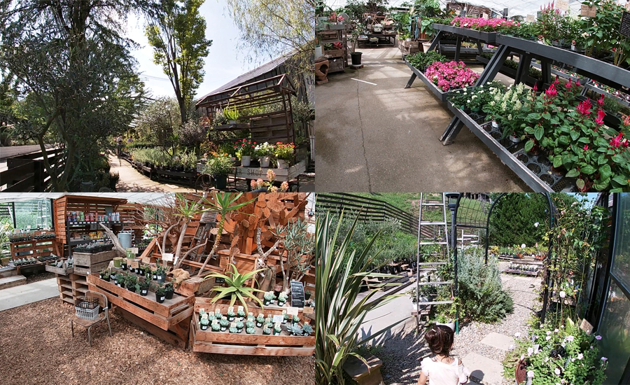 1棟まるまるお花のエリアです。