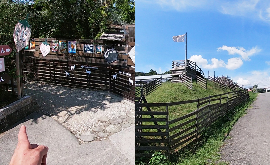 「おはなのもり」横の細い道を奥に進んでいくと、「いちご園」があります。