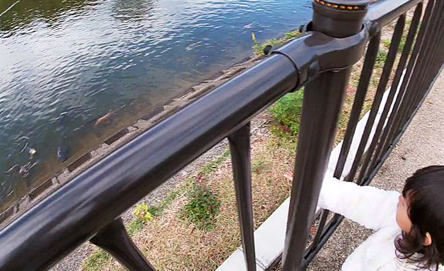 スターバックス奈良鴻池運動公園前店、鴻池を散歩