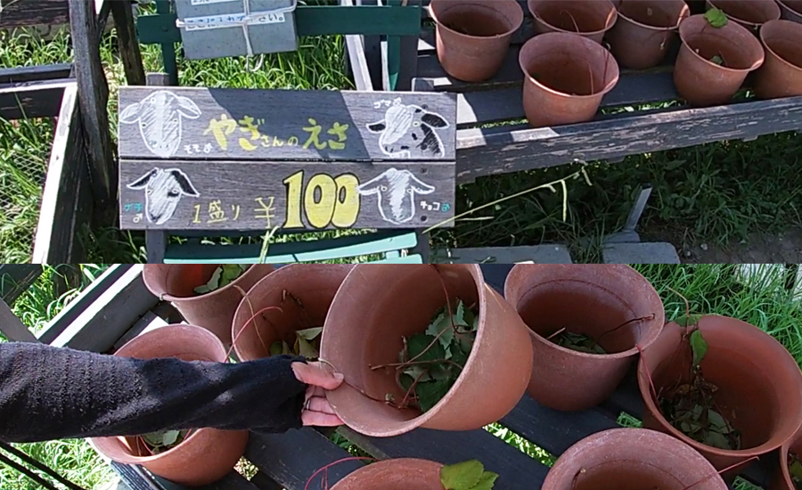 中からでも外からでもエサやりをすることもできます1