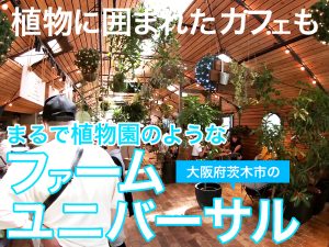 まるで植物園のような大阪茨木市にあるファームユニバーサルFARM-UNIVERSAL