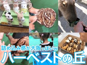 子供のいろんな体験が詰め込まれた感じが大阪っぽいハーベストの丘に4歳の幼児と行ってきました。-940x706