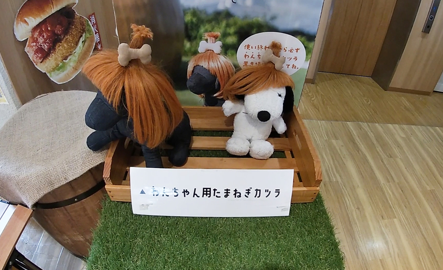 玉ねぎカツラはペット用の物まであるので、愛犬と一緒に写真を撮ることも出来ます。