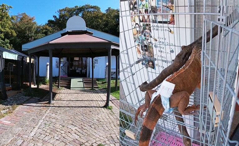 入場ゲートすぐにあるのが昆虫・爬虫類館-768x469