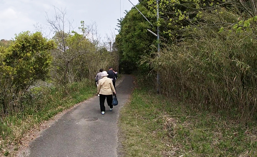 駐車場からは細い砂利道を歩いて向かいます。