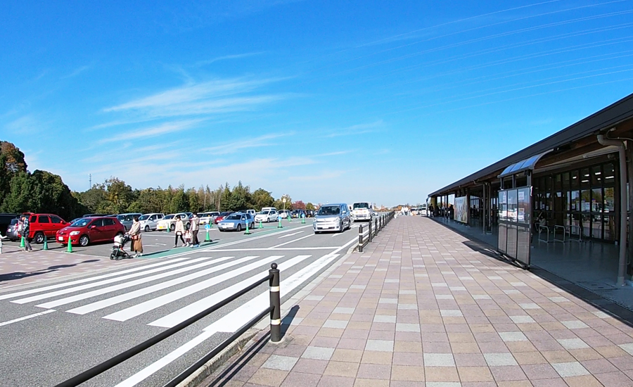 駐車場もかなりの広さがあるので、1番遠い場所だと入場ゲートまでかなり歩くことになります