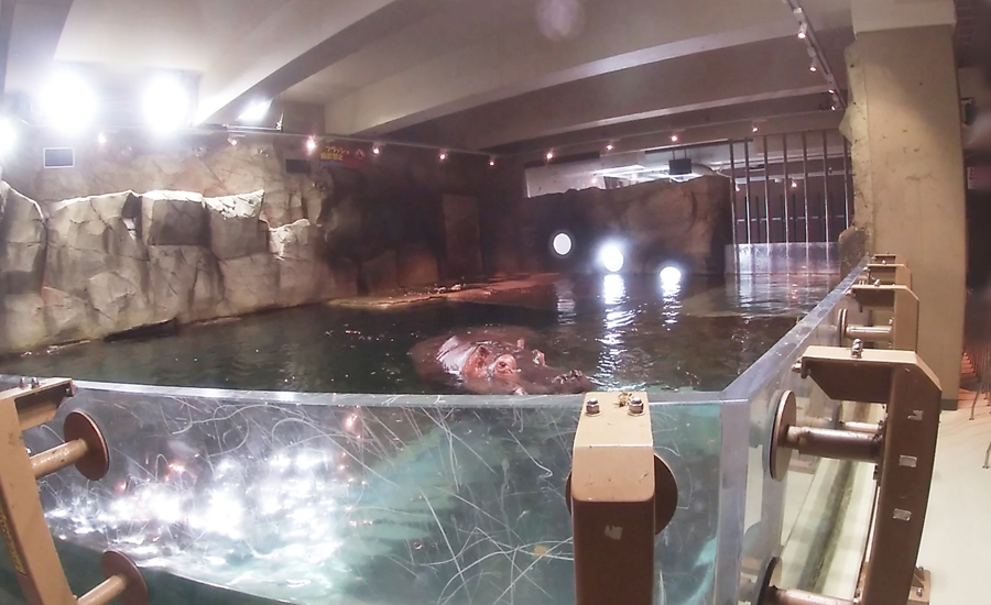 施設全体の中では入口に近いエリアにある「カバ館」