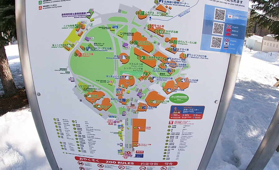 旭山動物園は施設内もかなり広い