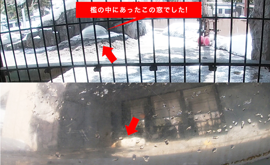 檻の中にも丸いガラス窓が設置されていて織の中を中側から覗くことも出来ます